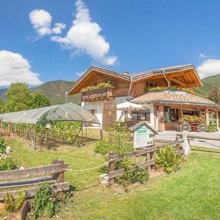B&B dalla fattoria della Patty Pieve Di Ledro Esterno foto