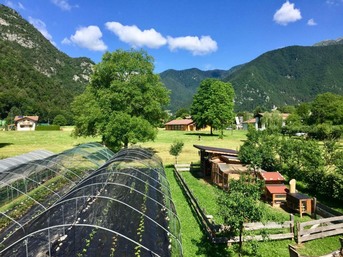 B&B dalla fattoria della Patty Pieve Di Ledro Esterno foto