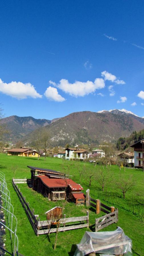 B&B dalla fattoria della Patty Pieve Di Ledro Esterno foto